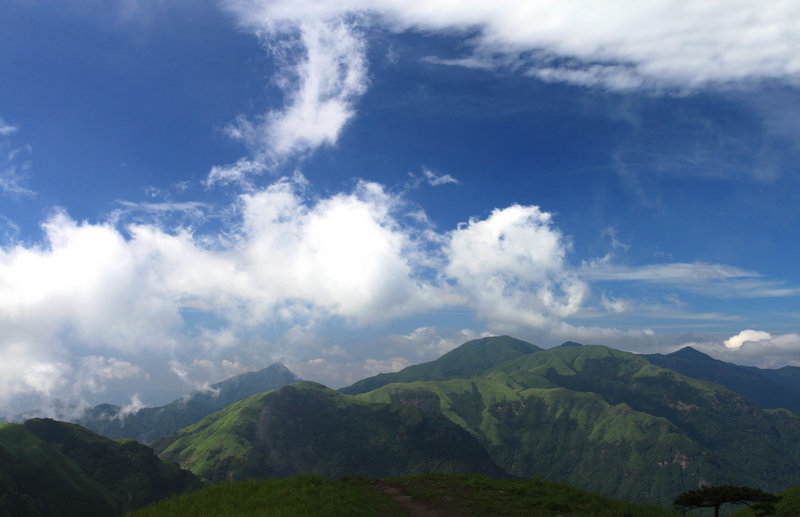 img_9091.jpg
