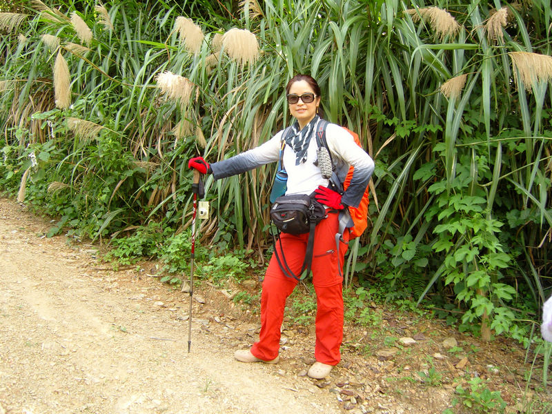  snc10182.jpg