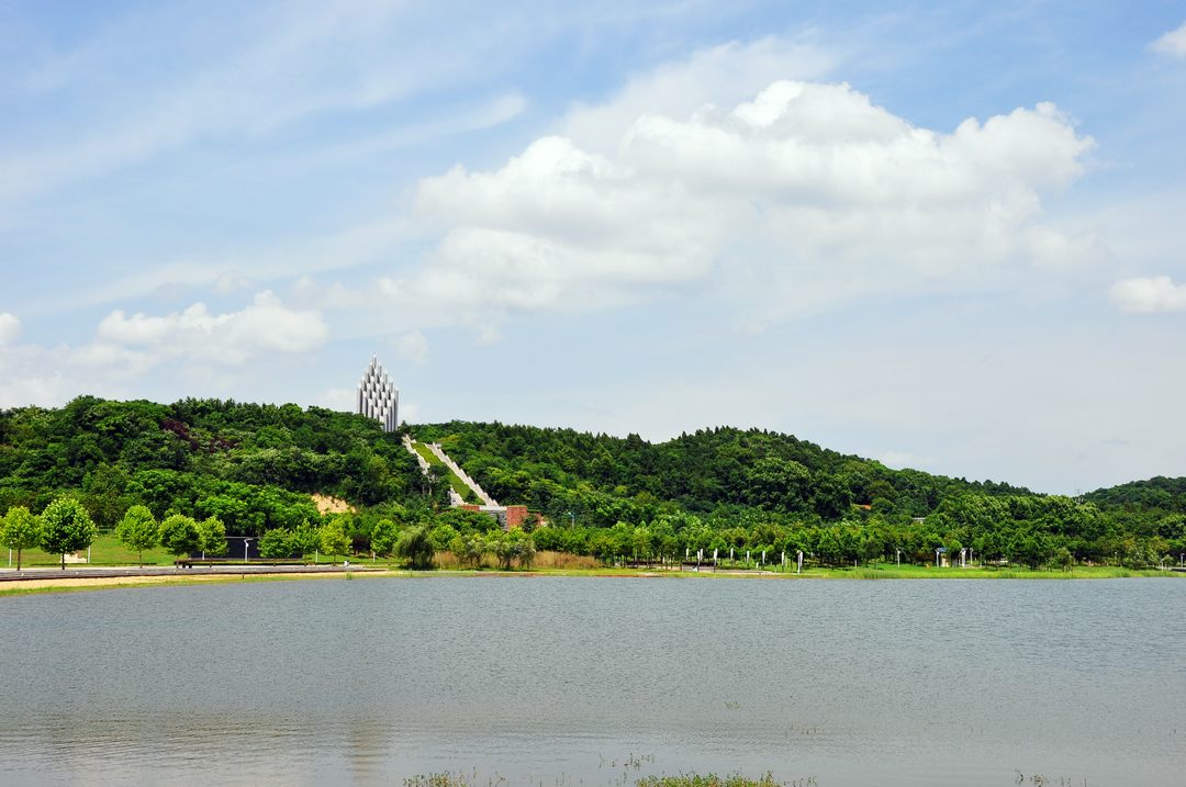 dsc_0039.jpg