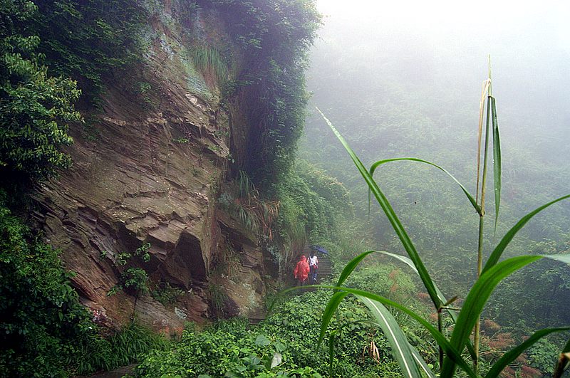 dsc02014.jpg