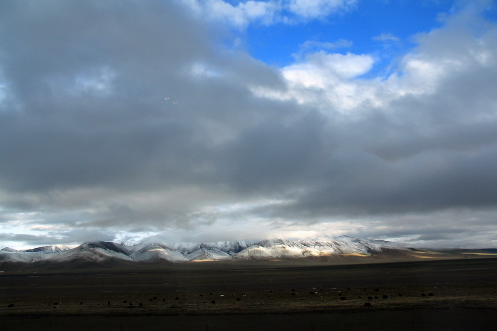 img_3107_С_С.jpg