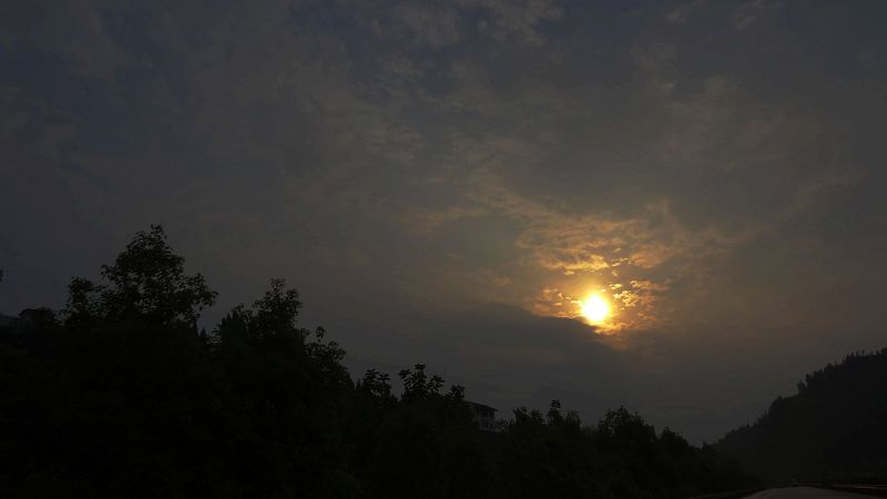dsc00253.jpg