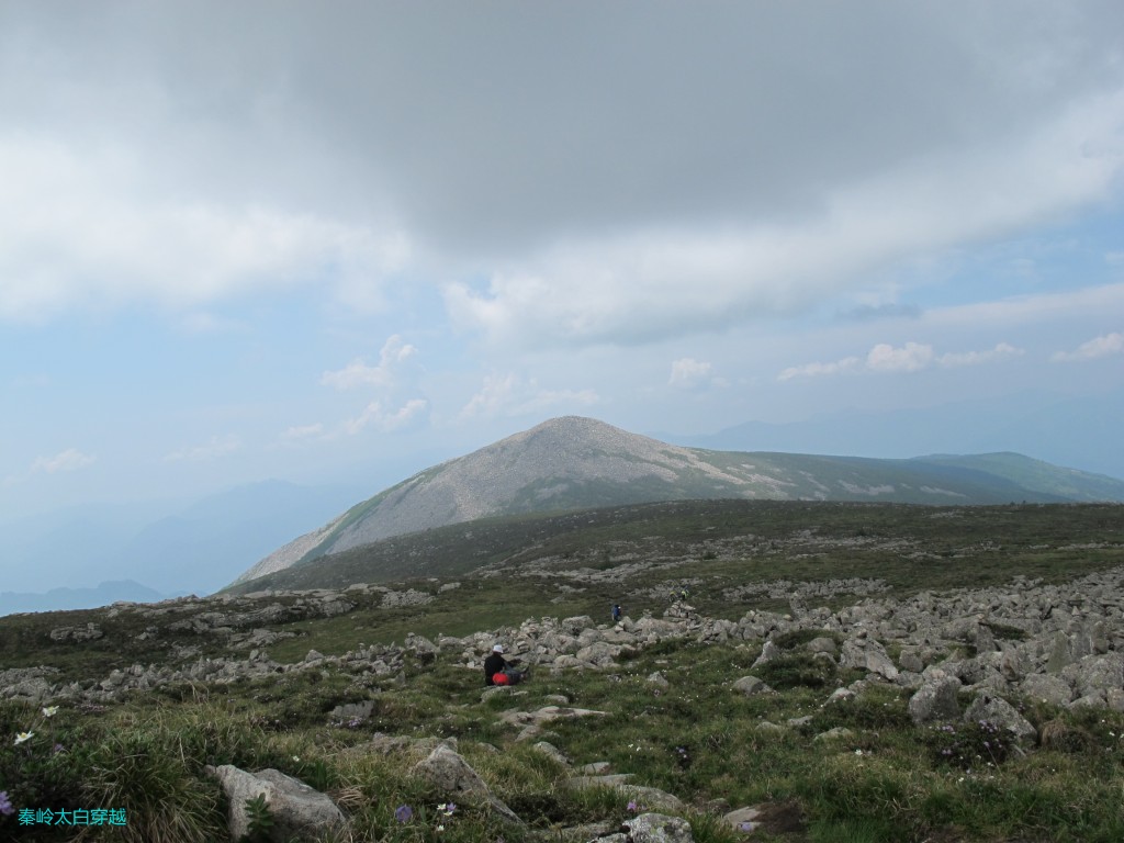 conew_6y 545.jpg
