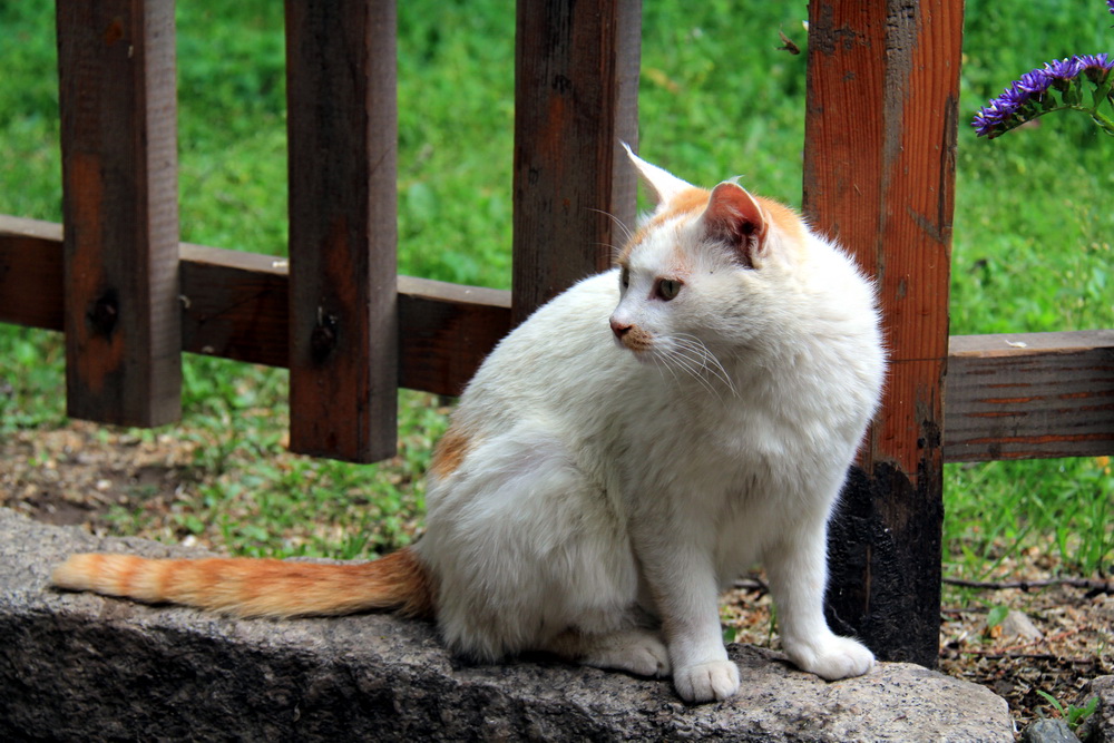 img_2825С.jpg