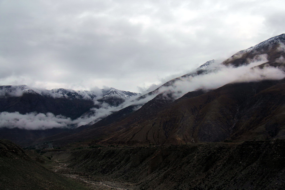 img_2291_С_С.jpg