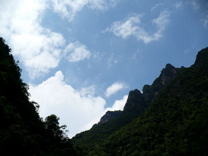 p1050445.jpg