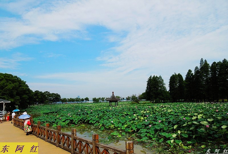 dscn0214.jpg