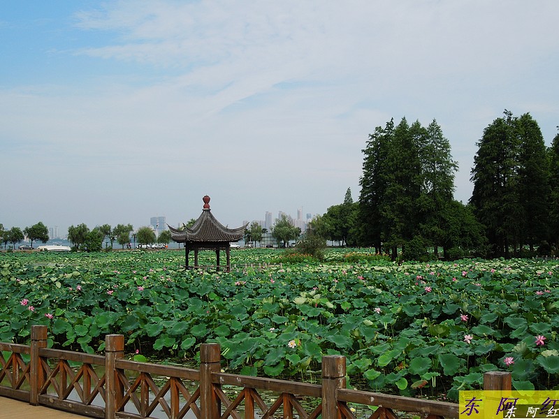 dscn0218.jpg