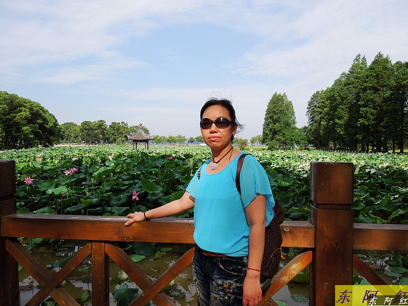 dscn0233.jpg