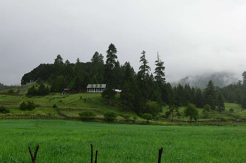 p1210686.jpg