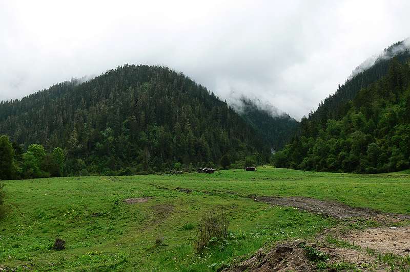 p1210669.jpg