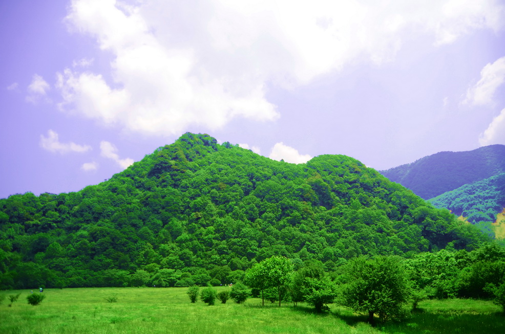 dsc_1370.jpg