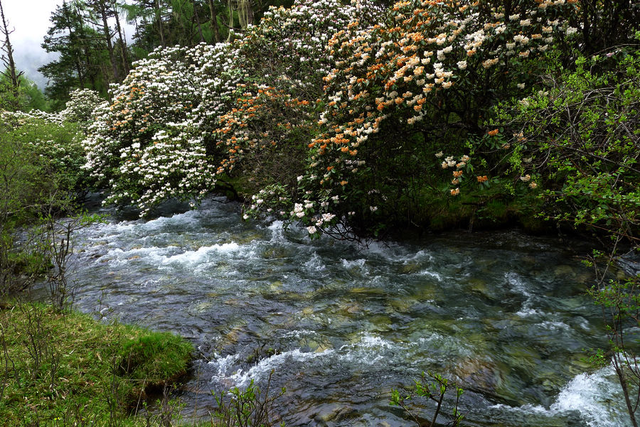 p1000574-1.jpg