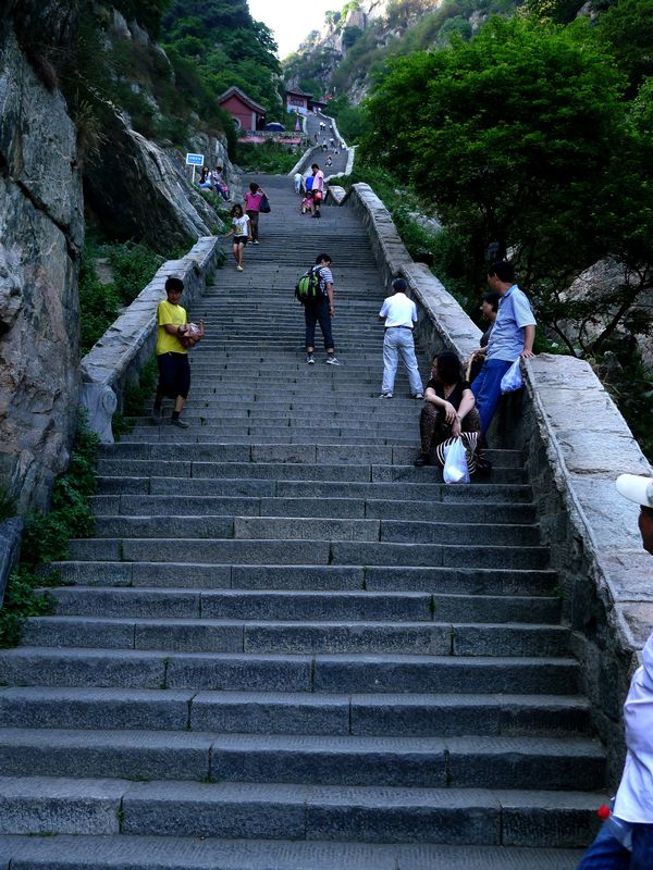 p1130130.jpg