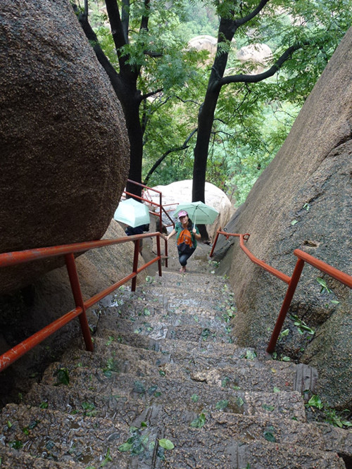 p1070538__.jpg