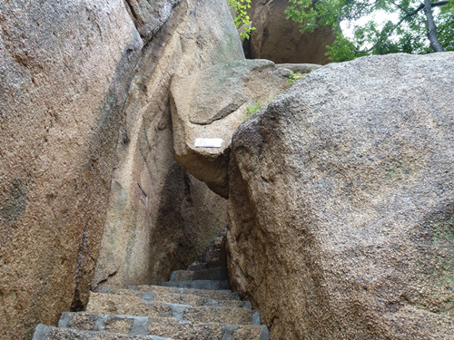 p1070547_.jpg