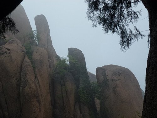 p1070566_.jpg