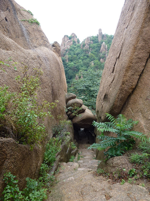 p1070572__.jpg