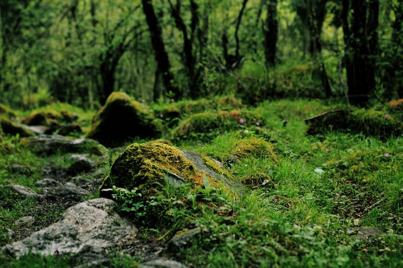 _mg_8719.jpg