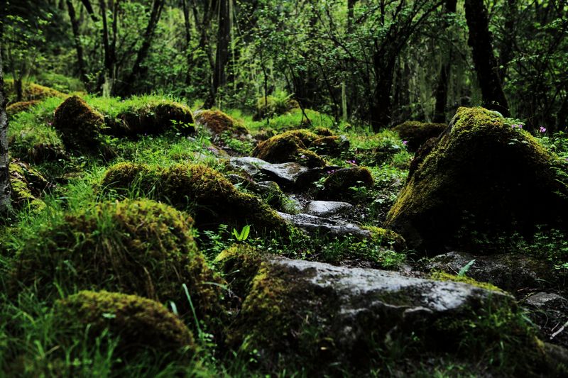 _mg_8724.jpg