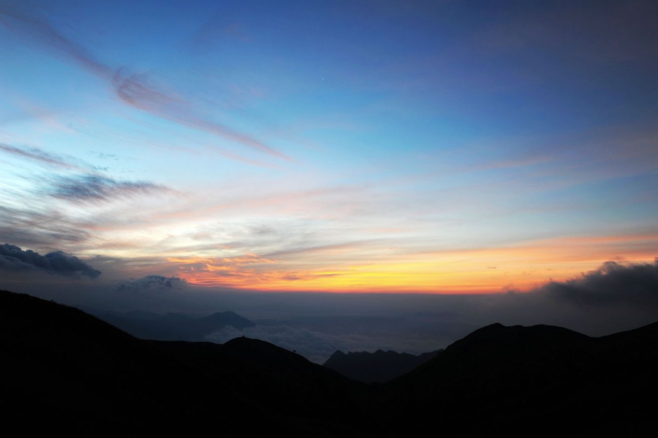 dsc_0982Ƭ.jpg