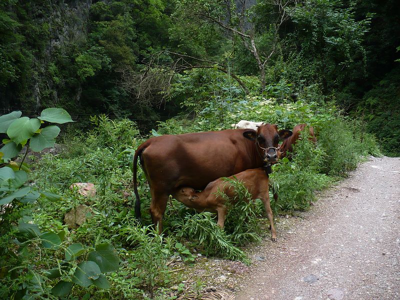 p1050482.jpg