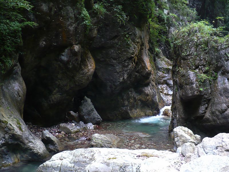 p1050484.jpg