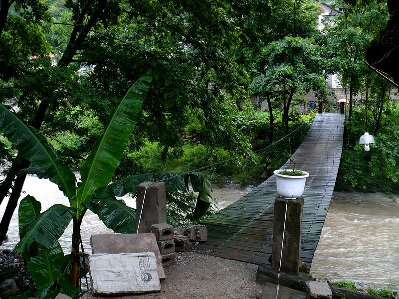 p1050508.jpg