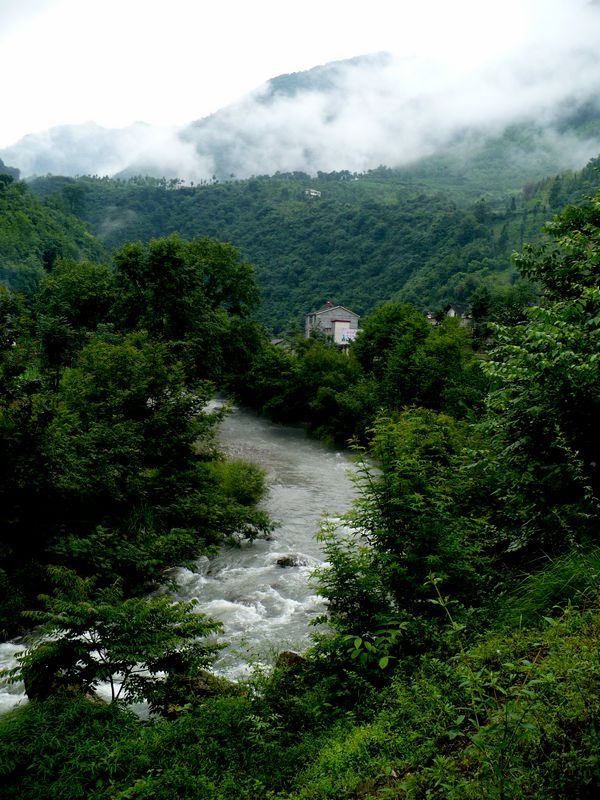 p1050541.jpg