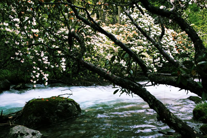 _mg_8767.jpg