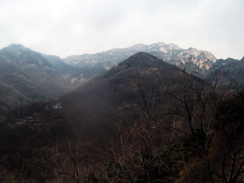 dscf0508.jpg