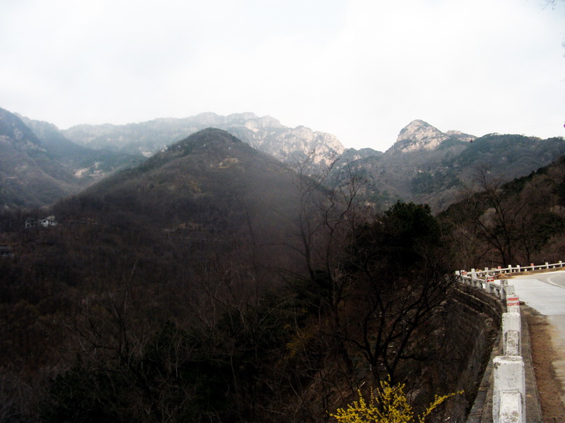 dscf0509.jpg