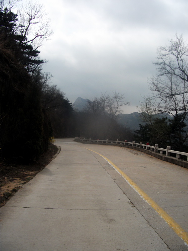 dscf0510.jpg