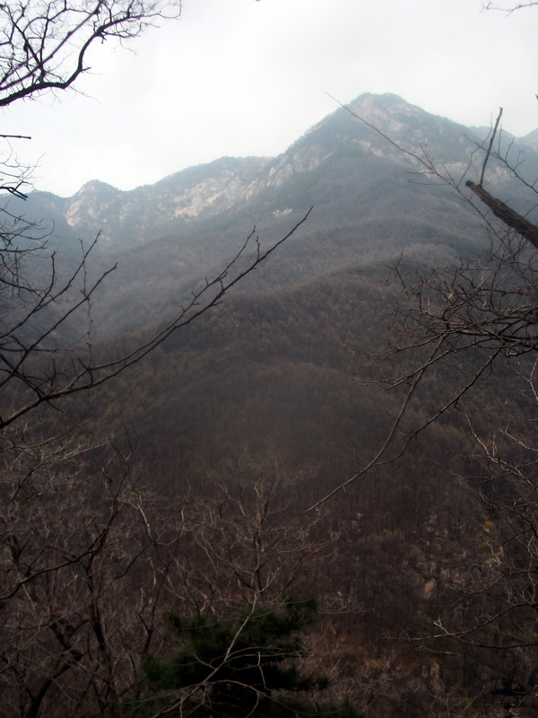 dscf0512.jpg