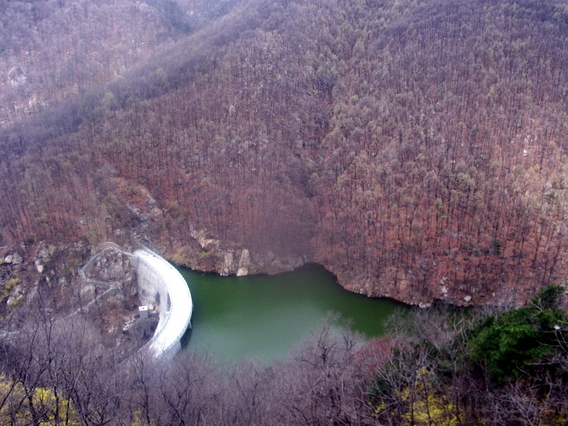 dscf0513.jpg