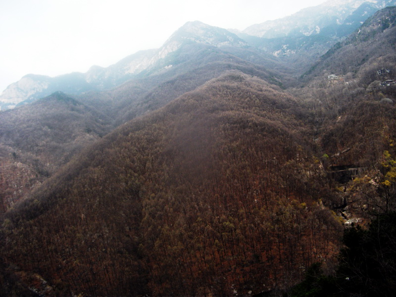 dscf0514.jpg