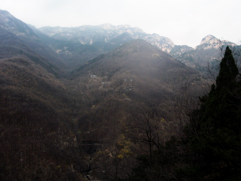 dscf0515.jpg