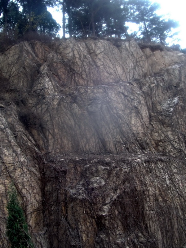 dscf0516.jpg
