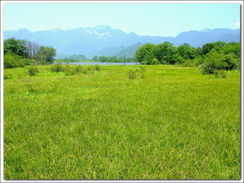 dscf6395ay.jpg