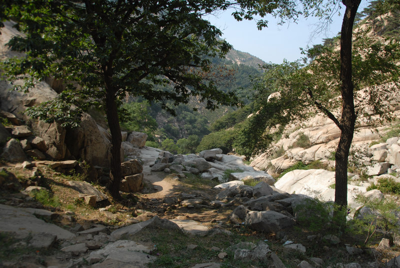 dsc_0224.jpg
