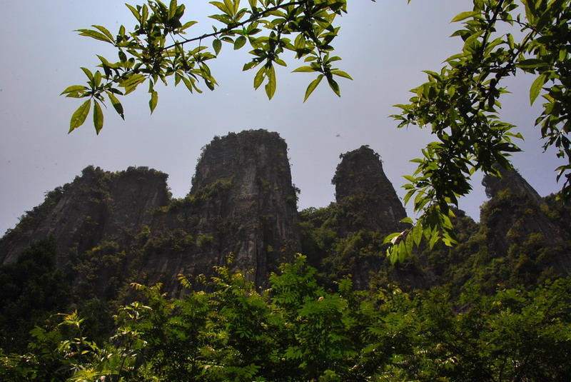 2012ڶʩϿ_014_С.jpg