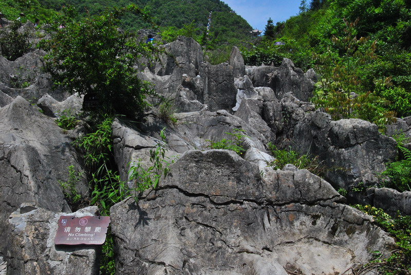 2012ڶʩϿ_029_С.jpg
