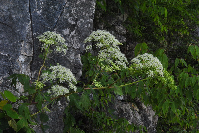 2012ڶʩϿ_055_С.jpg