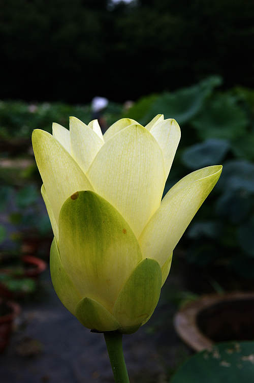 dsc02814.jpg