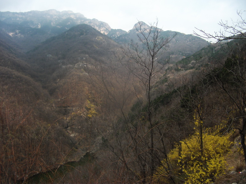 dscf0517.jpg
