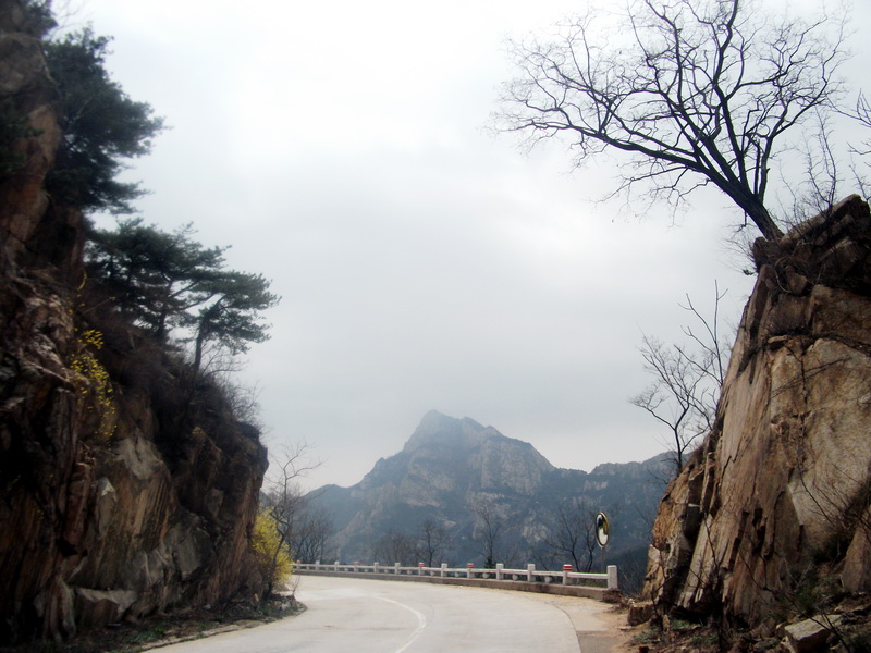 dscf0518.jpg