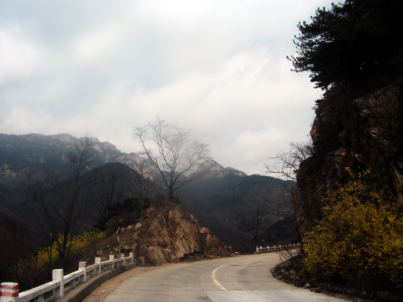 dscf0520.jpg