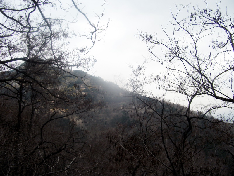 dscf0523.jpg