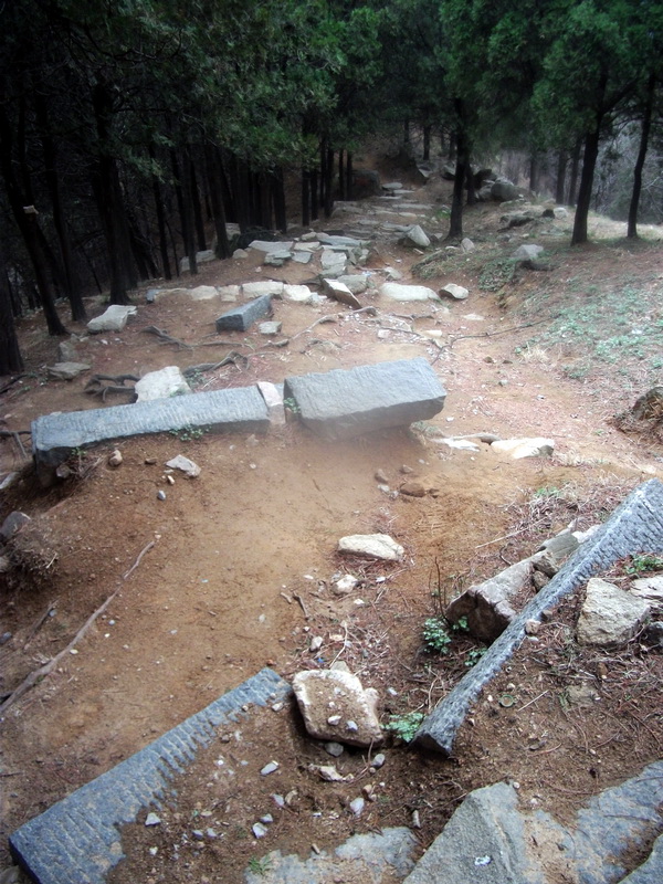 dscf0522.jpg