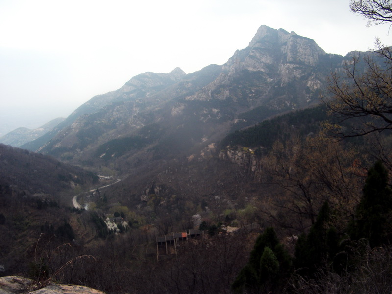 dscf0526.jpg